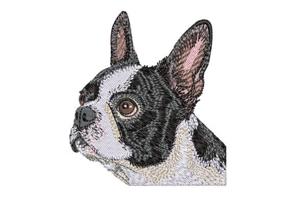 Boston Terrier Embroidery Design